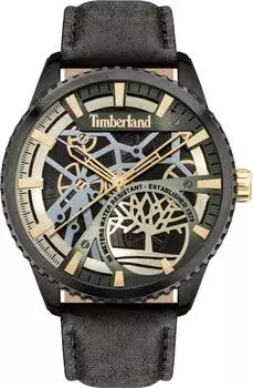 Мужские часы Timberland TDWJA2000903