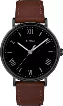 Мужские часы Timex TW2R80300RY