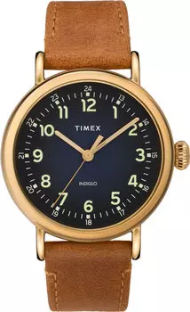 Мужские часы Timex TW2T20000VN