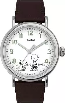 Мужские часы Timex TW2U71000