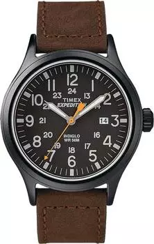 Мужские часы Timex TW4B12500