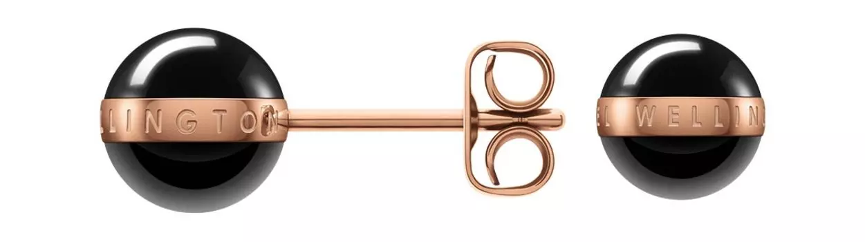 Серьги Daniel Wellington Aspiration-Earrings-Black-RG