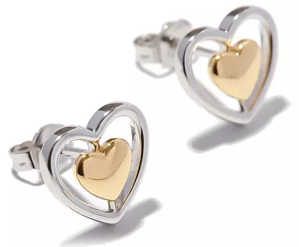 Серьги Exclaim 035S2689E