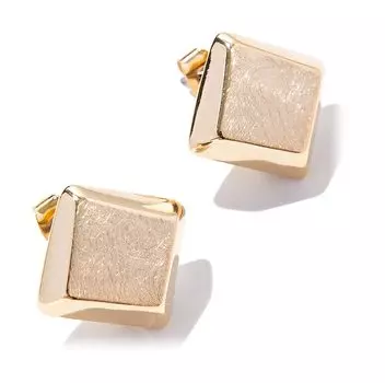 Серьги Exclaim 042G3161E