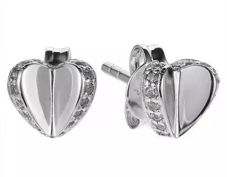 Серьги Fossil JFS00423040