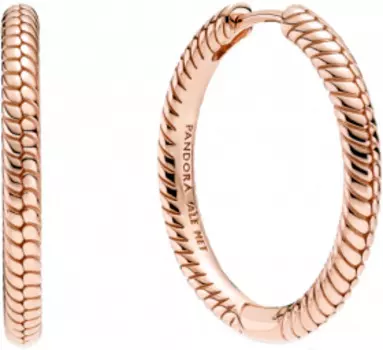 Серьги PANDORA 289532C00