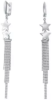 Серьги Silver Wings 02FYE10106-113