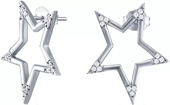 Серьги Silver Wings 02FYE8389-113