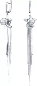 Серьги Silver Wings 02FYE9881-113