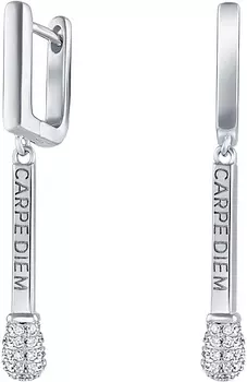 Серьги Silver Wings 22CARPEDIEMA-127