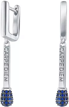 Серьги Silver Wings 22CARPEDIEMC-127