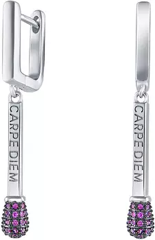 Серьги Silver Wings 22CARPEDIEMG-127