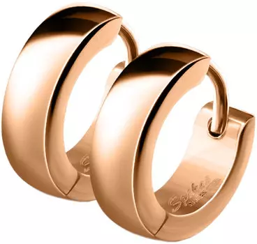 Серьги DG Jewelry SE2003-RD