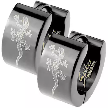 Серьги Spikes SE2012