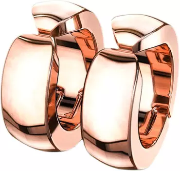 Серьги Spikes SFE-13521-RD