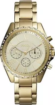 Женские часы Fossil BQ3378