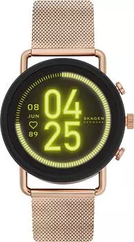Женские часы Skagen SKT5204