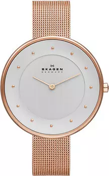 Женские часы Skagen SKW2142