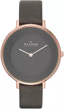 Женские часы Skagen SKW2216