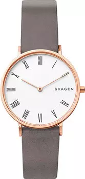 Женские часы Skagen SKW2674