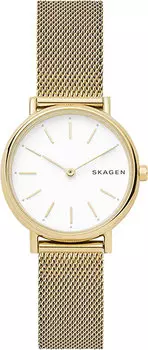 Женские часы Skagen SKW2693