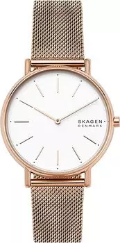 Женские часы Skagen SKW2784