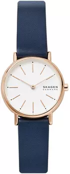 Женские часы Skagen SKW2838