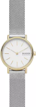 Женские часы Skagen SKW2910