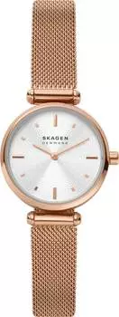 Женские часы Skagen SKW2955
