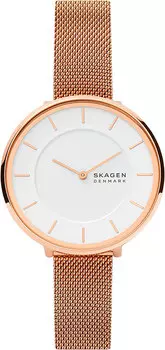 Женские часы Skagen SKW3013