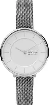 Женские часы Skagen SKW3016