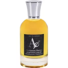 Absolument Parfumeur - Absolument Homme (50мл)