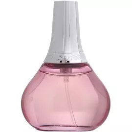 Antonio Banderas - Spirit for Woman (100мл)