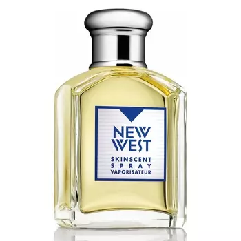 Aramis - New West for Him (100мл)