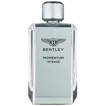Bentley - Momentum Intense (5мл)