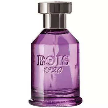 Bois 1920 - Spigo 1920 (10мл)