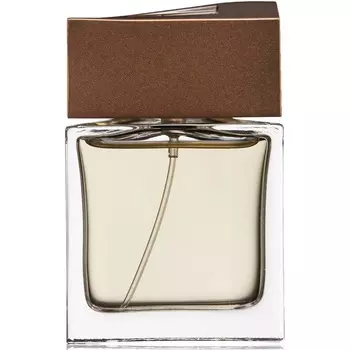 Brioni - Brioni (30мл)