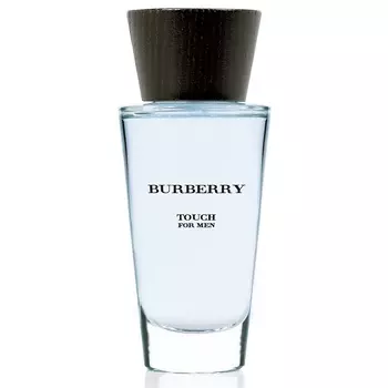 Burberry - Touch for Men (100мл)
