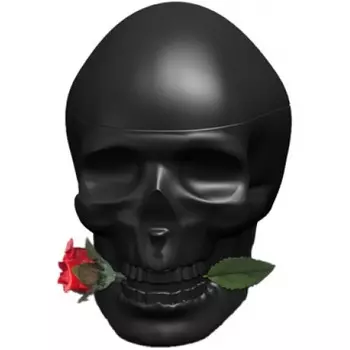 Christian Audigier - Ed Hardy Skulls &amp; Roses for Him (100мл)