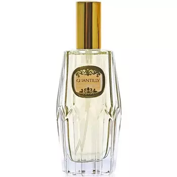 Dana - Chantilly (105мл)