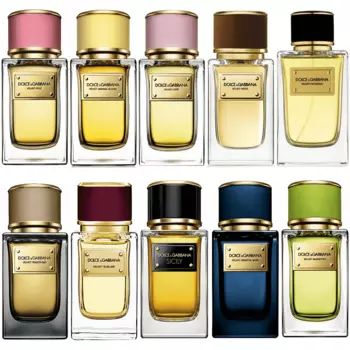 Dolce and Gabbana - Вельвет (10 по 3мл)