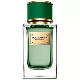 Dolce and Gabbana - Velvet Cypress (50мл)