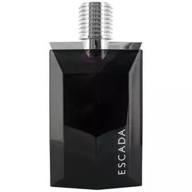 Escada - Magnetism for Men (100мл)