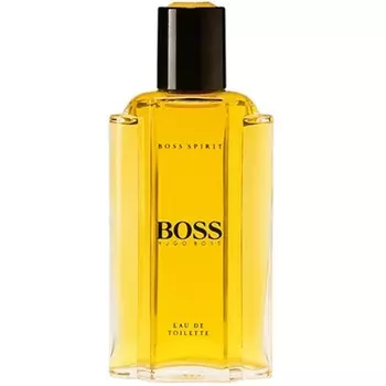 Hugo Boss - Spirit (2мл)