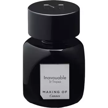 Making of Cannes - Inavouable (2мл)