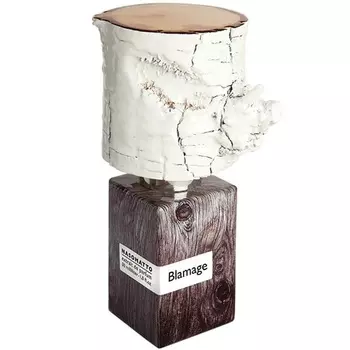 Nasomatto - Blamage (4мл)