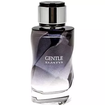 Reyane - Gentle Elsatys (100мл)