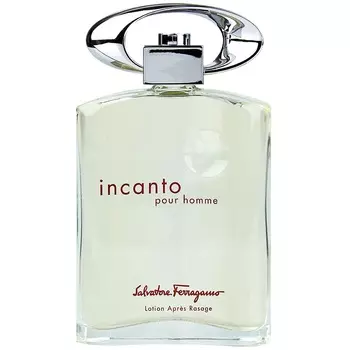 Salvatore Ferragamo - Incanto Pour Homme (100мл)