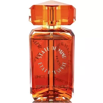 State Of Mind - Aesthetic Turbulence (3мл)