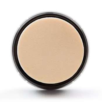 Sponge brush head Black